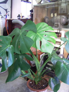 RIMG0110.JPG