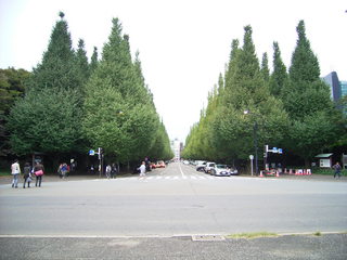 RIMG0144.JPG